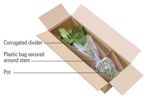 can live plants be shipped.